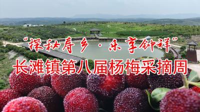 直播丨“探秘寿乡·乐享钟祥”长滩镇第八届杨梅采摘周