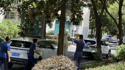 快速响应除隐患 多方联动保平安