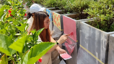 青春绘梦 画笔添彩 公益彩绘为花坛换“新装”