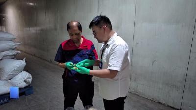 【新闻直通车】苏黄一家亲  |  南通籍寻药人卢飞飞：在黄石，找到了最想做的事