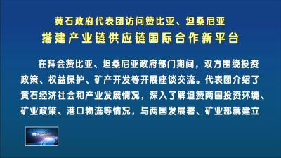 黄石政府代表团访问赞比亚、坦桑尼亚  搭建产业链供应链国际合作新平台