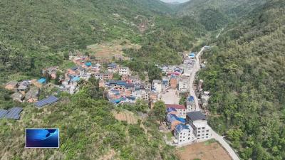 创建生态文明建设示范区  |  上半年我市“千村万树”完成1.85万亩   占年度计划任务的98.9%