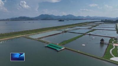 奋进第一方阵 建功支点建设  |  天元钓技“大武台”主体工程基本完工