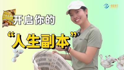 一眼看黄石：开启你的“人生副本”