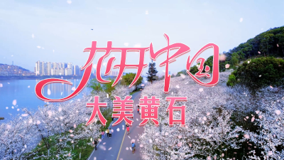 《花开中国 大美黄石》MV温情上线