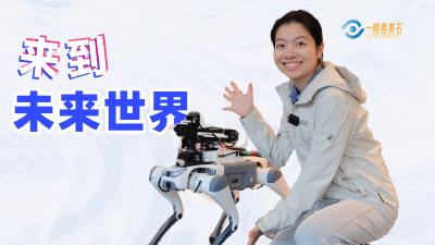一眼看黄石：来到未来世界
