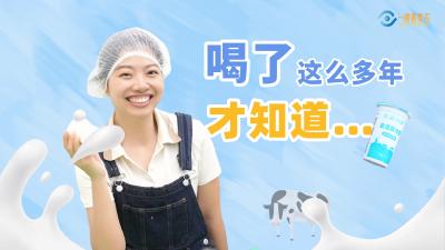 一眼看黄石：“放心奶”是咋诞生的？