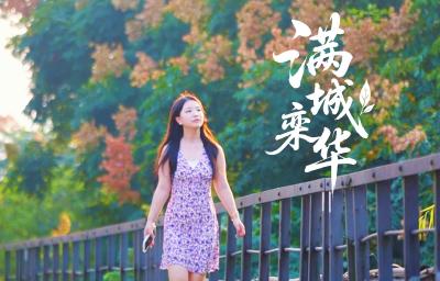 湖北黄石：满城栾华