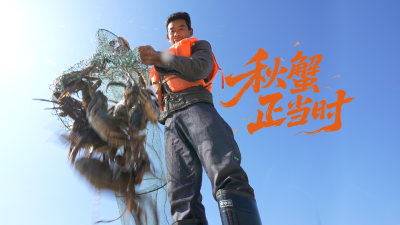 湖北黄石：秋蟹正当时