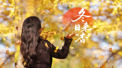 湖北黄石：冬日来“杏”