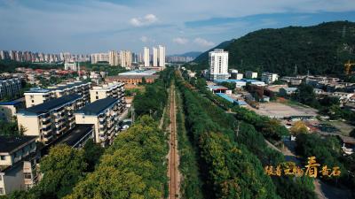 跟着文物看黄石：大冶运道