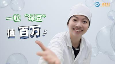 湖北黄石：一粒“绿豆”值百万？