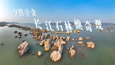 湖北黄石：长江石林焕奇观