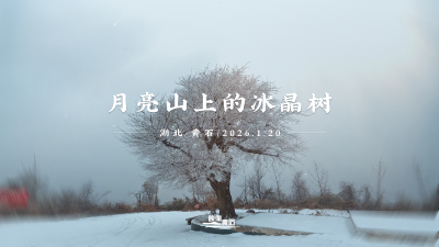 湖北黄石：月亮山上的冰晶树