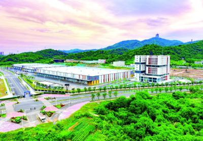 提供花湖机场超6成货源！解码黄石“全域临空”的产业磁力