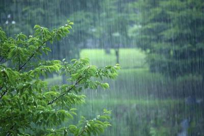今天南方雨势仍强东北雨雪持续 未来一周中东部气温波动频繁