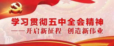 决胜全面建成小康社会取得决定性成就——论学习贯彻党的十九届五中全会精神