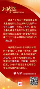 划重点！一起听他们解读湖北“十四五”规划纲要