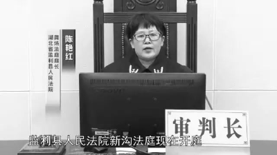 婚姻家庭纠纷的“和事佬”——追记监利市人民法院龚场法庭庭长陈艳红之四