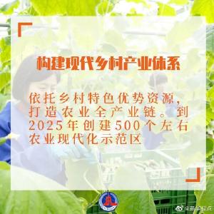干货满满！2021年中央一号文件发布，有哪些硬举措？