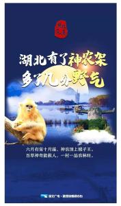 这，就是湖北气质！
