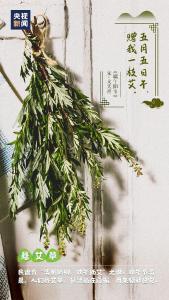 你可能不知道，传统的端午节这样过