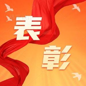 全省表彰！监利这些个人和组织榜上有名