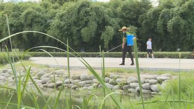 每天两次，我市对公园、广场进行集中消杀