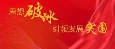 【思想破冰引领发展突围】争当铁牛型干部公开承诺（9）