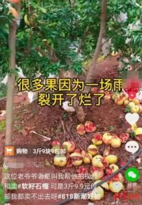 永久封禁！永久关闭！