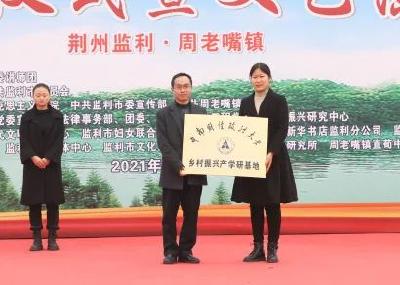 送文化、送科技、送卫生...这个镇上的群众喜上眉梢