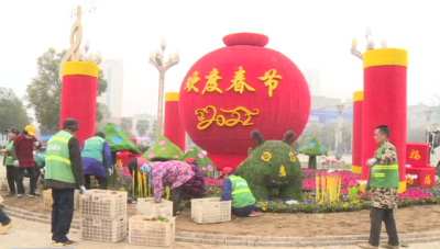 靓！城区摆花造景迎新春