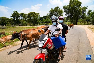“抚平”乡道带来幸福感——记中企在斯里兰卡北部地区助力升级乡村路