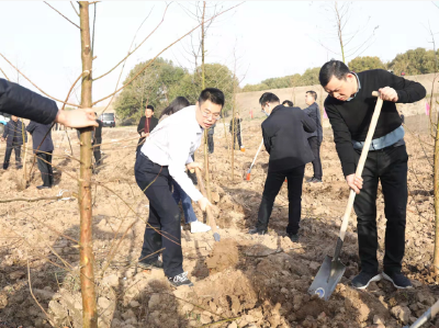 春回大地 植树添绿