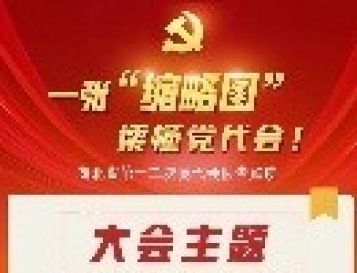 收藏 | 一张“缩略图”，读懂党代会！