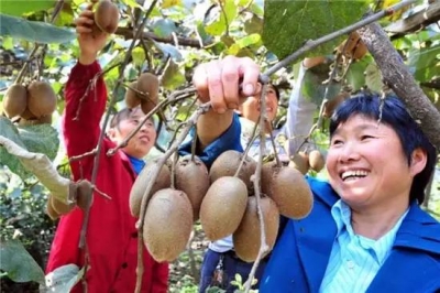 宜昌夷陵雾渡河镇
