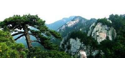 英山：用“三真”促《问责条例》贯彻落实