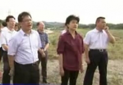 梁惠玲 、任振鹤来我市调研“万企帮万村”精准扶贫工作