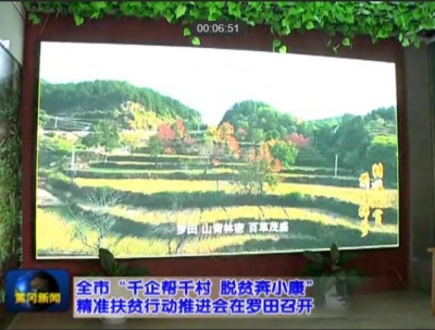 全市“千企帮千村 脱贫奔小康”精准扶贫行动推进会在罗田召开