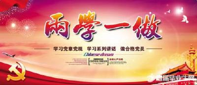 补齐短板推进全面从严治党 学做结合服务改革发展大局 