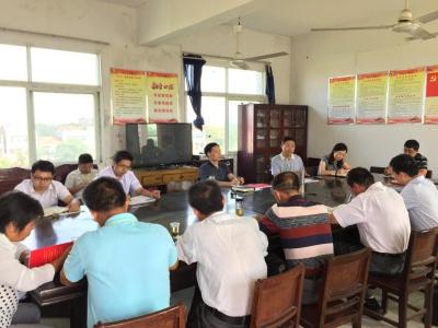 崔永辉深入团风镇雨台岗村调研“两学一做”学习教育和基层党建工作