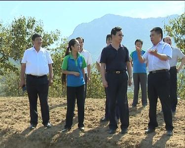 全国“万企帮万村”精准扶贫工作调研组来黄冈调研 