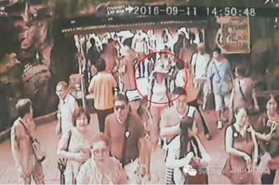  在泰国老虎园失踪的中国女游客已找到