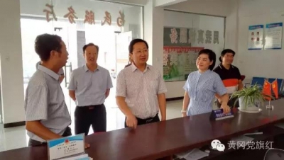 赵斌督导检查罗田县党风廉政建设“两个责任”落实情况