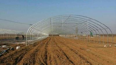红安推进“菜篮子”工程：贫困户建大棚亩补5000元