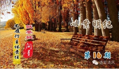 【以案明纪】第16期：履行主体责任不力，某局长被问责
