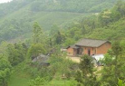 视频|王造六：当好山里福利院这个家