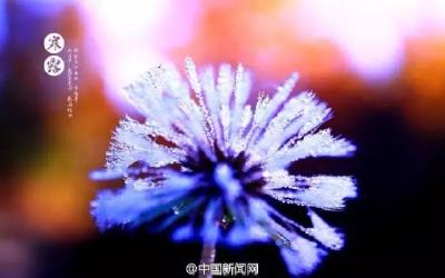 今日寒露 | 天气渐冷，别再秋冻了，要这样穿衣服！  