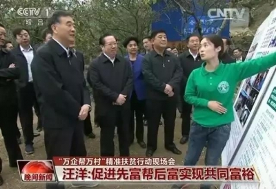 全国“万企帮万村”精准扶贫行动现场会在黄冈召开 汪洋出席会议并讲话
