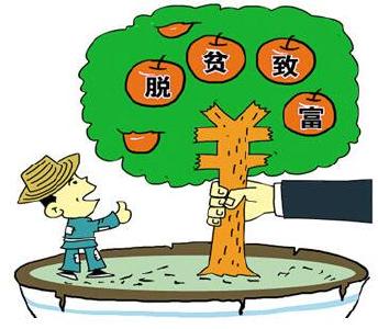 蕲春：避灾农业成就一方百姓脱贫致富梦